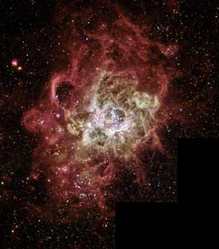 Firestorm of Star Birth Seen in a Local Galaxy
